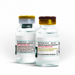 vacina Arexvy, desenvolvida pela GlaxoSmith Kline, aprovada pela Anvisa