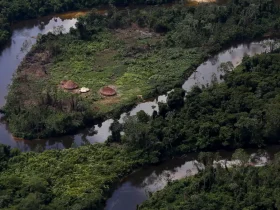 Imagem aérea do território yanomami em Roraima