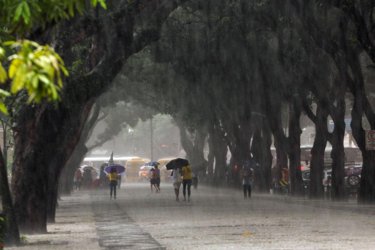 Inverno amazônico, chuva na Praça da República em Belém, capital do Pará