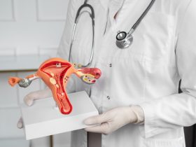 Médica ginecologista segurando um modelo de útero