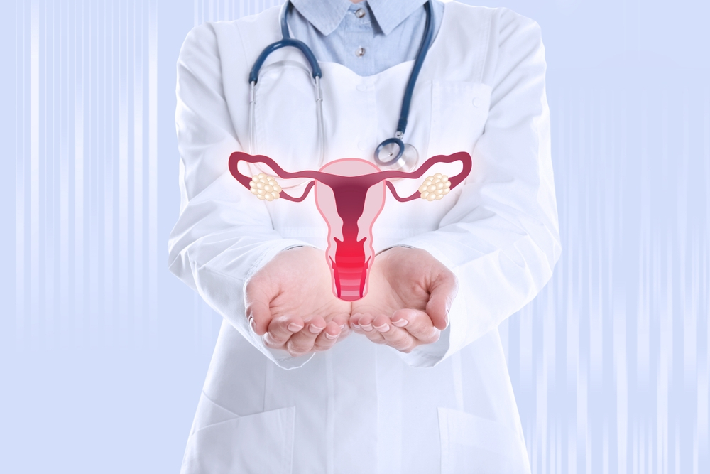Médica segurando um modelo do aparelho reprodutor feminino, destacando a vagina, local que fica a candidíase
