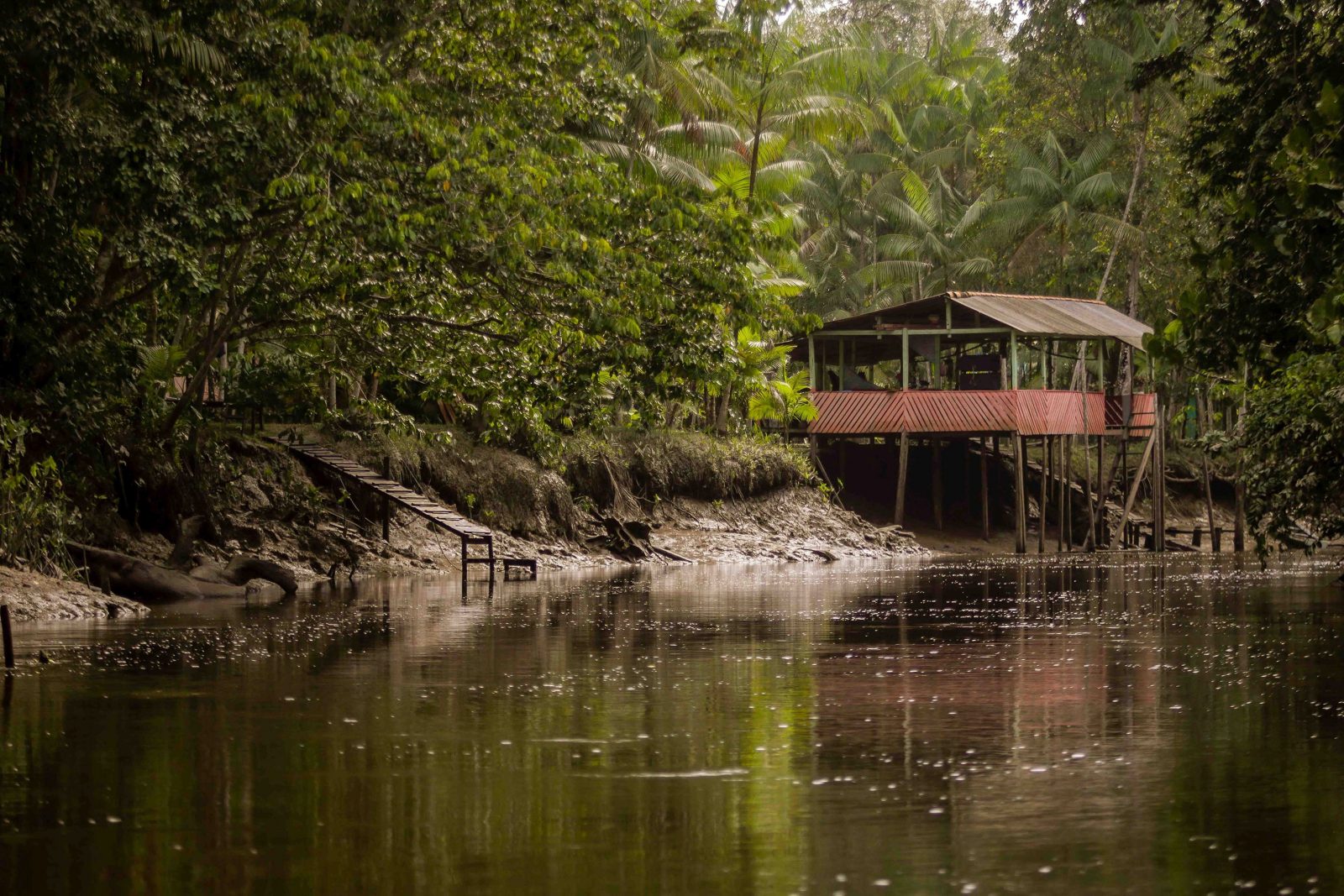 Comunidade ribeirinha do Santo Amaro no rio Guamá - Foto de Pedro Guerreiro / Ag. Pará