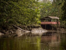 Comunidade ribeirinha do Santo Amaro no rio Guamá - Foto de Pedro Guerreiro / Ag. Pará