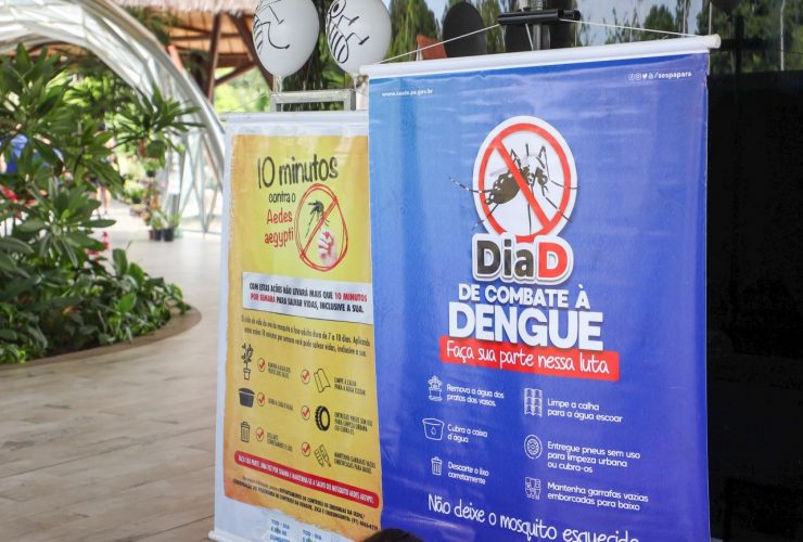 Cartazes do Dia D de combate a Dengue | Foto: Rodrigo Pinheiro / Agência Pará