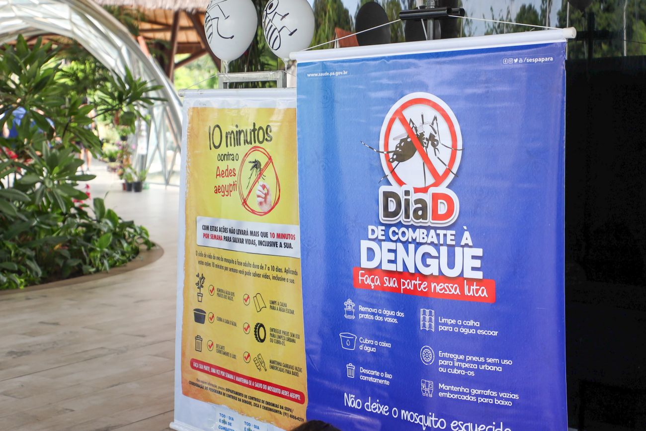 Cartazes do Dia D de combate a Dengue | Foto: Rodrigo Pinheiro / Agência Pará