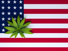 Folha da maconha em cima da bandeira dos Estados Unidos