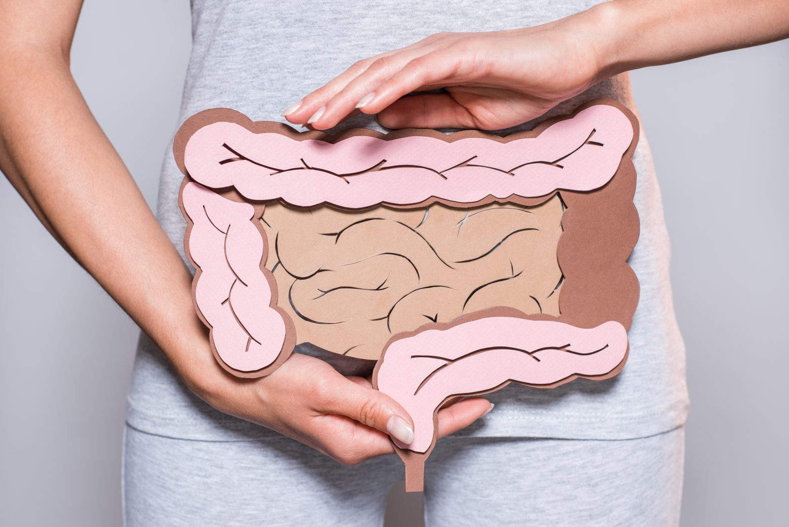 vista parcial da mulher segurando papel feito intestino grosso em fundo cinza Por LightFieldStudios