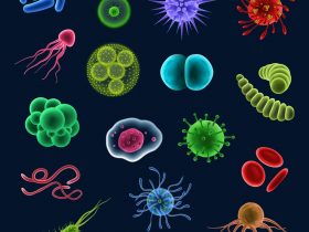Diferentes tipos de vírus, bactérias e células