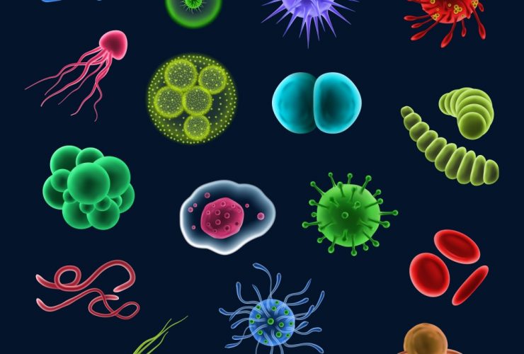 Diferentes tipos de vírus, bactérias e células