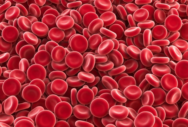 Glóbulos vermelhos que compõem o sangue