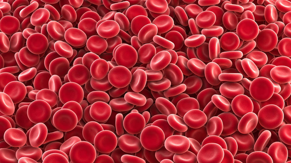 Glóbulos vermelhos que compõem o sangue