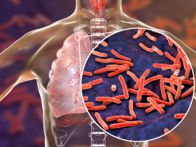 A bactéria Mycobacterium tuberculosis