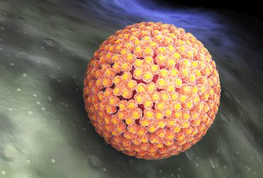 Vírus do papiloma. HPV Por iLexx