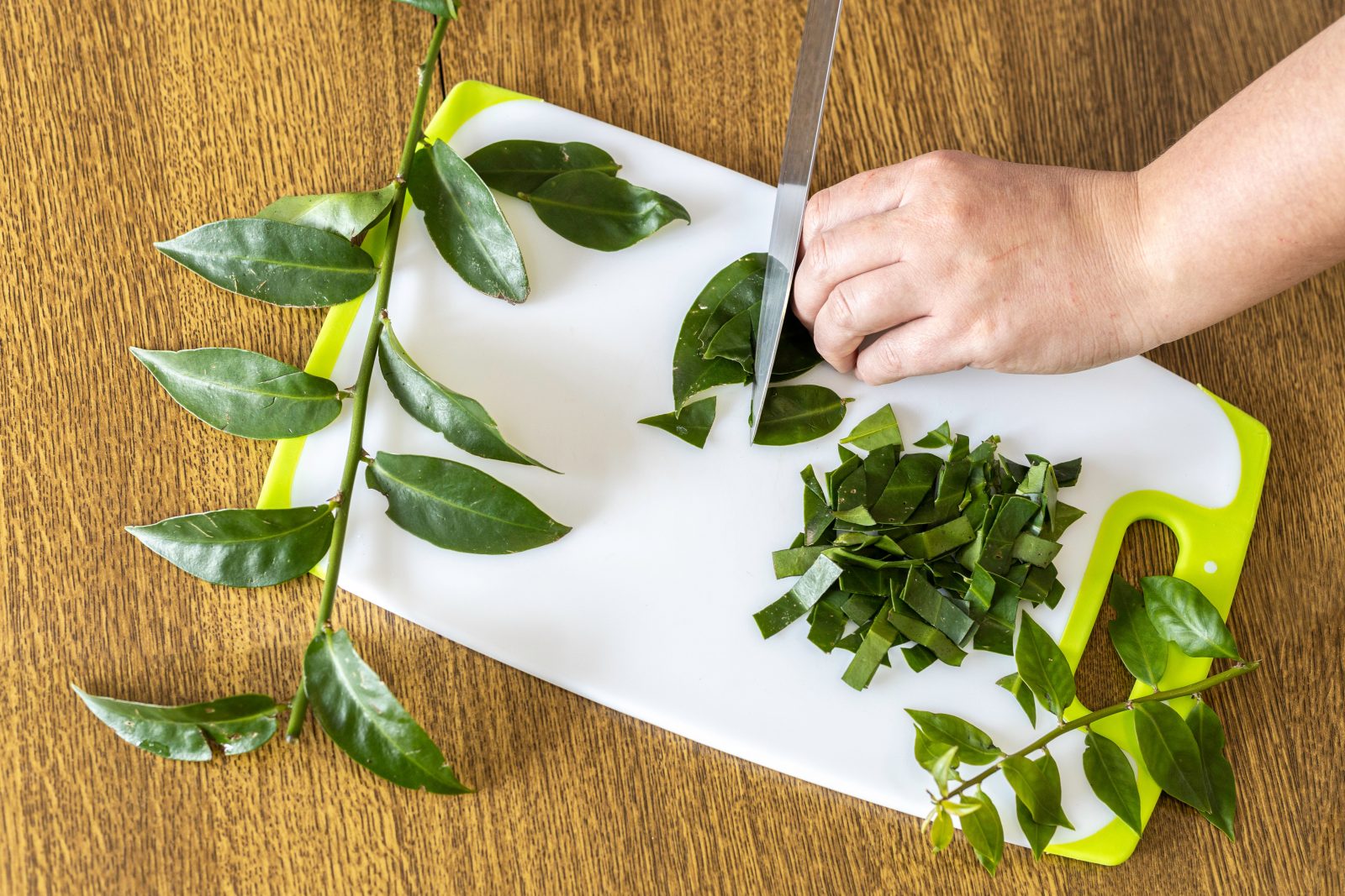 Mãos femininas cortando ora-pro-nobis na tábua de cortar. Pereskia aculeata é uma planta popular no Brasil Por wirestock