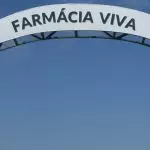 Farmácia Viva de Maricá Foto: Elsson Campos para Prefeitura de Maricá