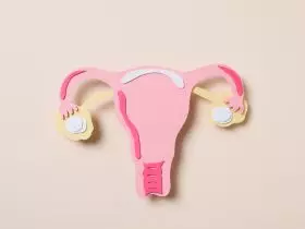 Saúde da mulher e conceito de saúde da mulher com útero Por AtlasComposer