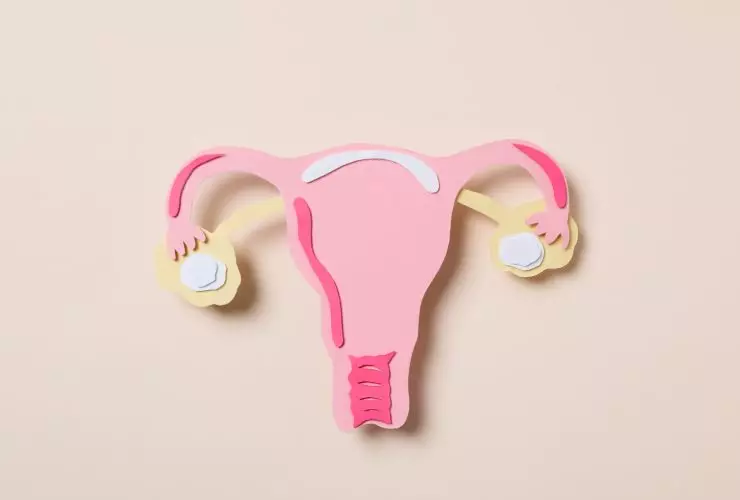 Saúde da mulher e conceito de saúde da mulher com útero Por AtlasComposer