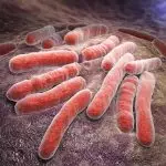 bactérias da tuberculose Por iLexx